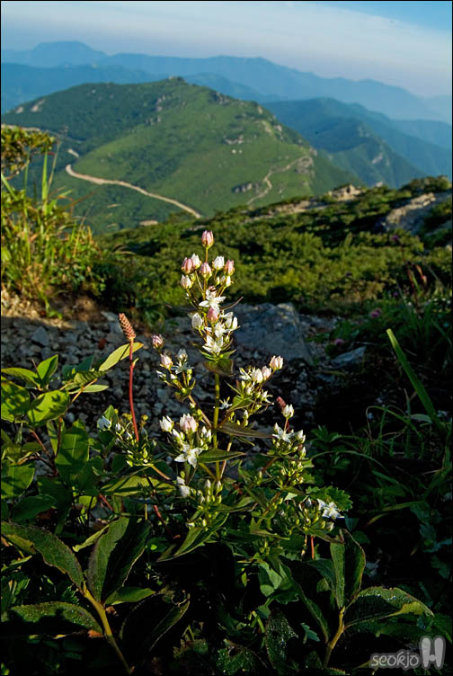 DSCF0258.jpg