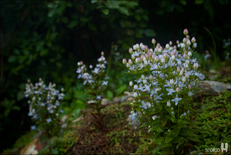 DSCF1040.jpg
