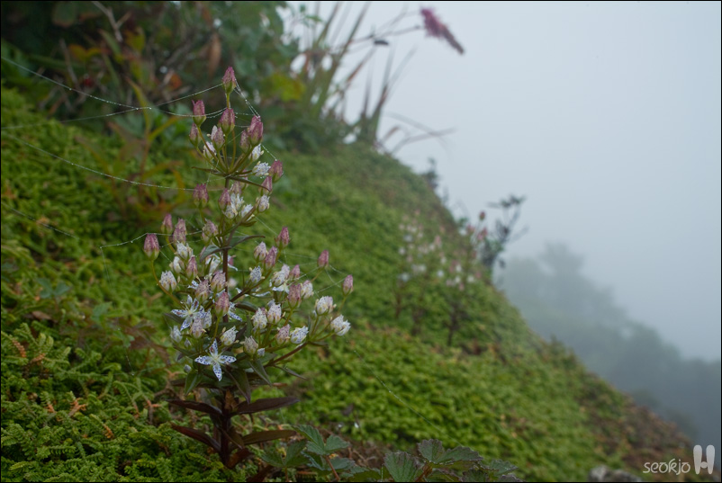 DSCF1046.jpg