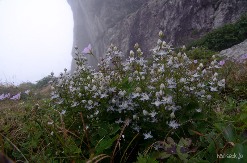 DSC_3465.jpg