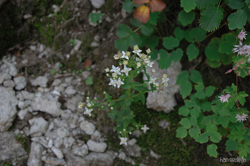 HSJ_3952.jpg