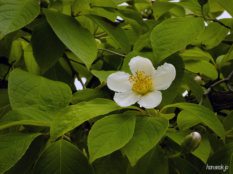 DSCN0170.jpg