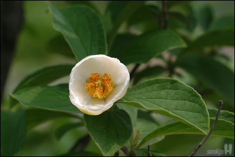 DSCF1946.jpg