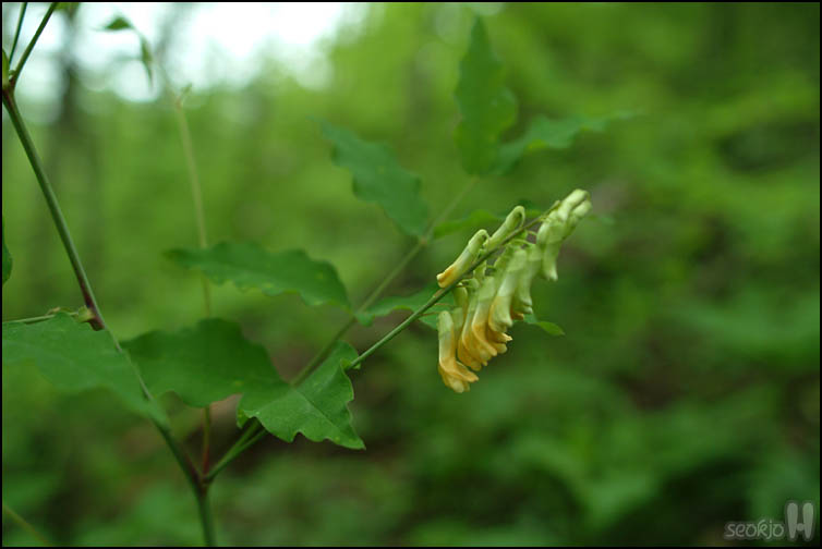 DSCF0920.jpg