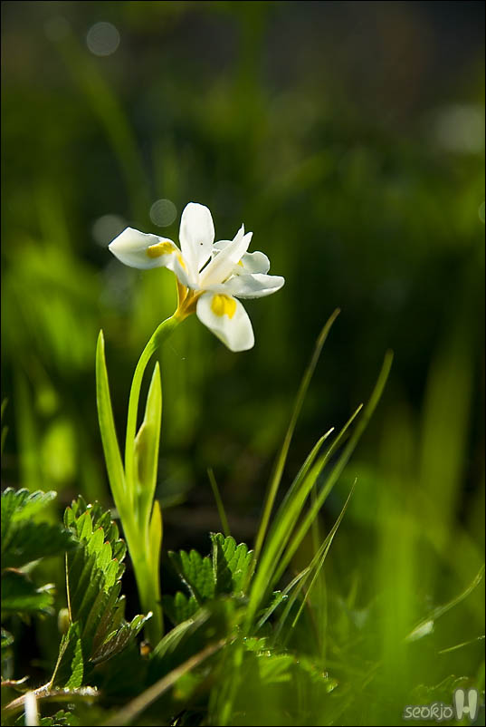 DSCF3779.jpg
