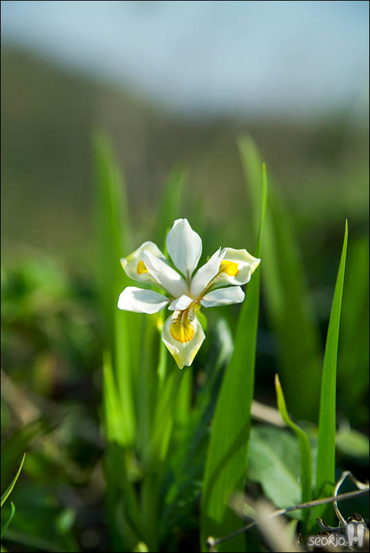 DSCF3793.jpg