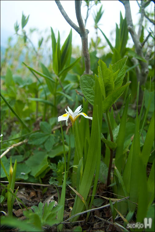 DSCF8756.jpg