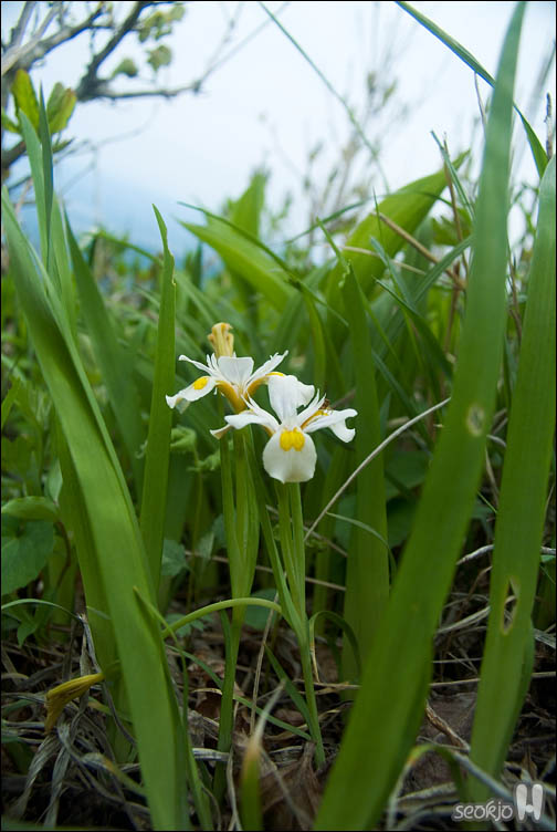 DSCF8758.jpg