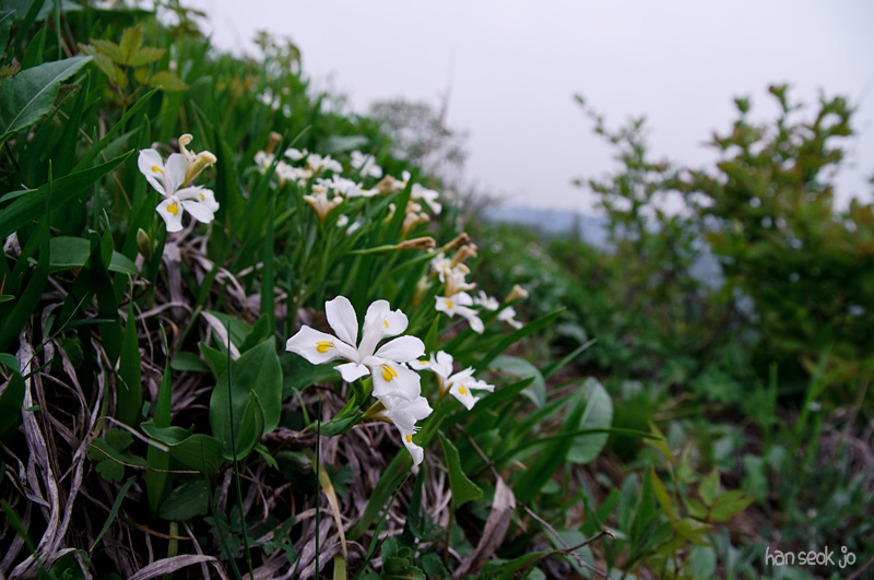 DSC_1653.jpg