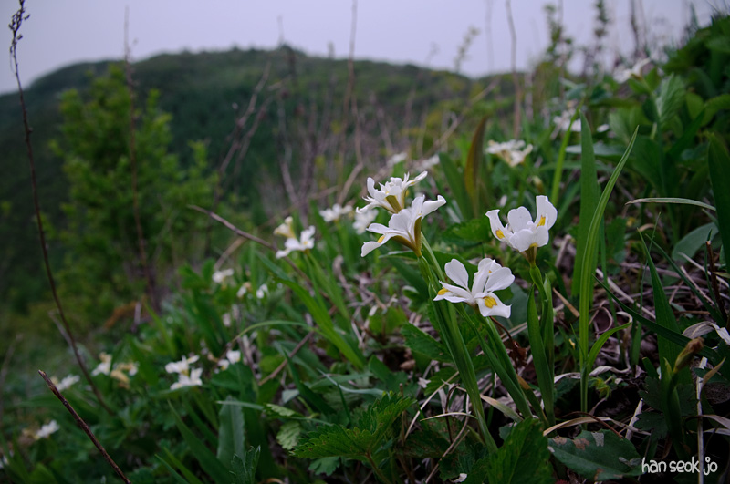 DSC_1650.jpg