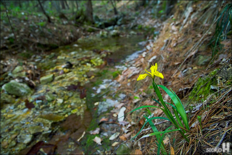 DSCF3256.jpg