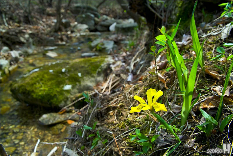 DSCF3271.jpg