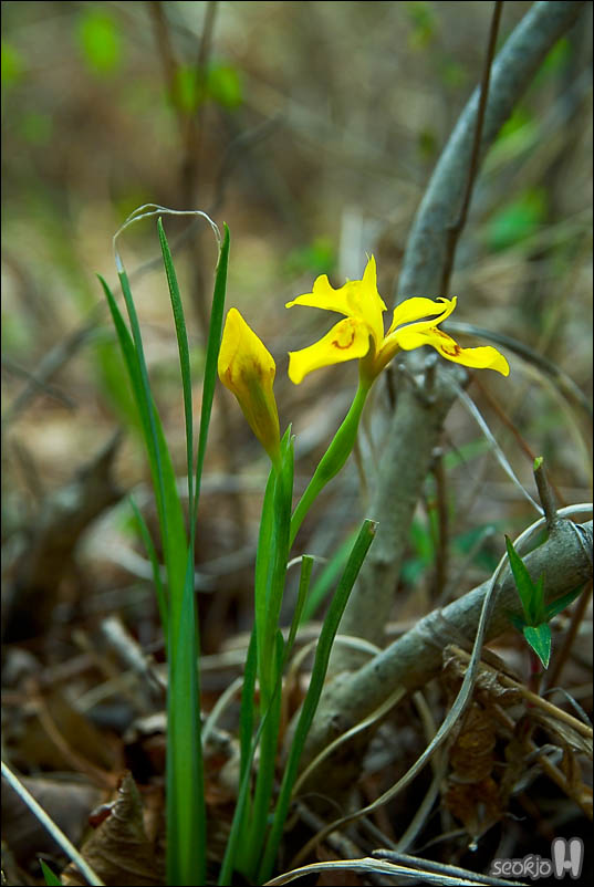 DSCF3263.jpg