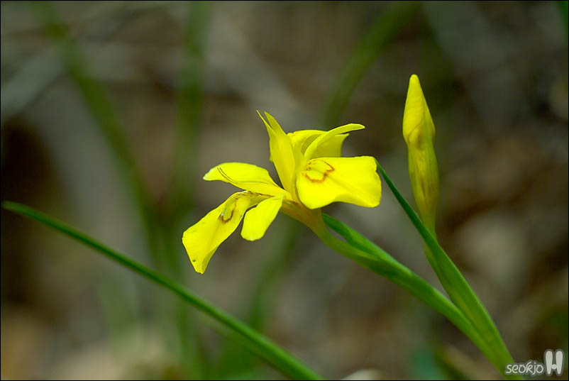 DSCF3269.jpg