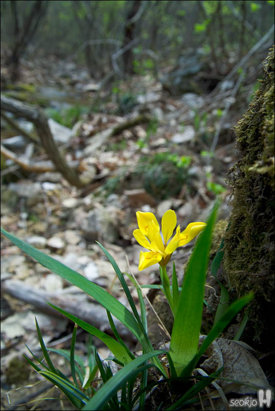 DSCF3270.jpg