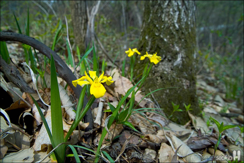 DSCF3273.jpg