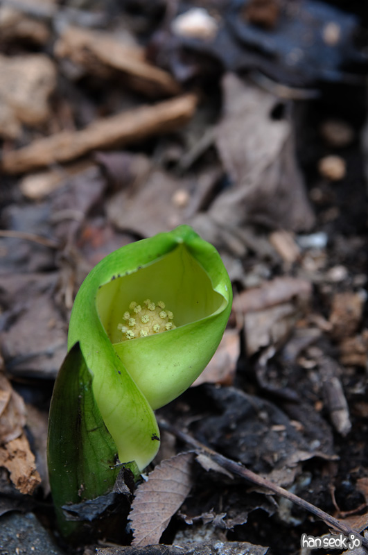 DSC_5143.jpg