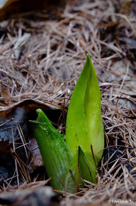 DSC_9897.jpg