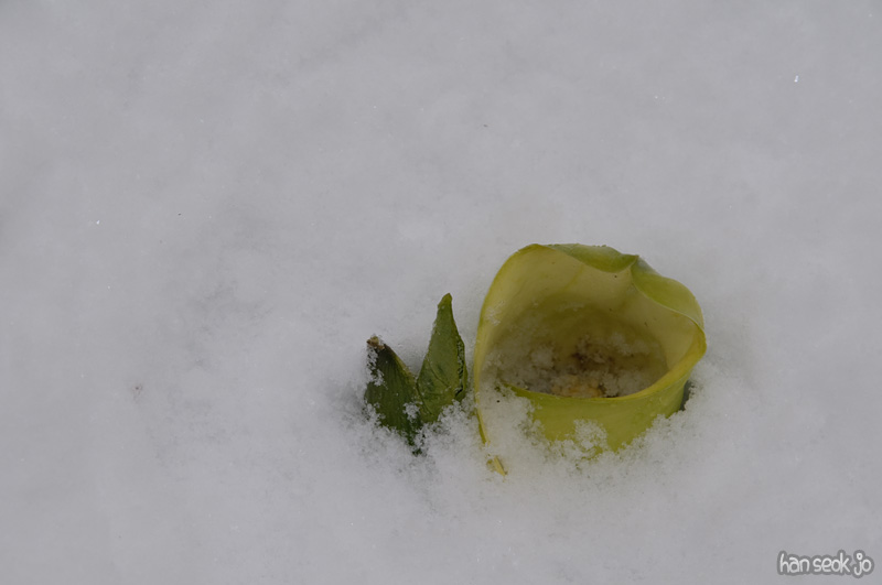 DSC_5156.jpg