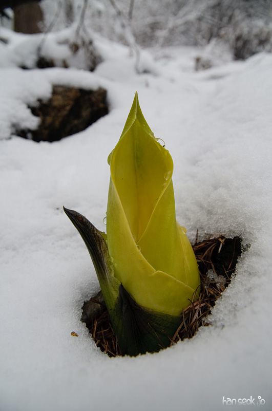 DSC_0001.jpg