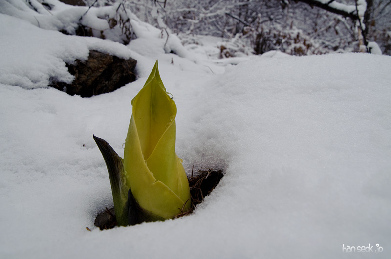 DSC_0024.jpg