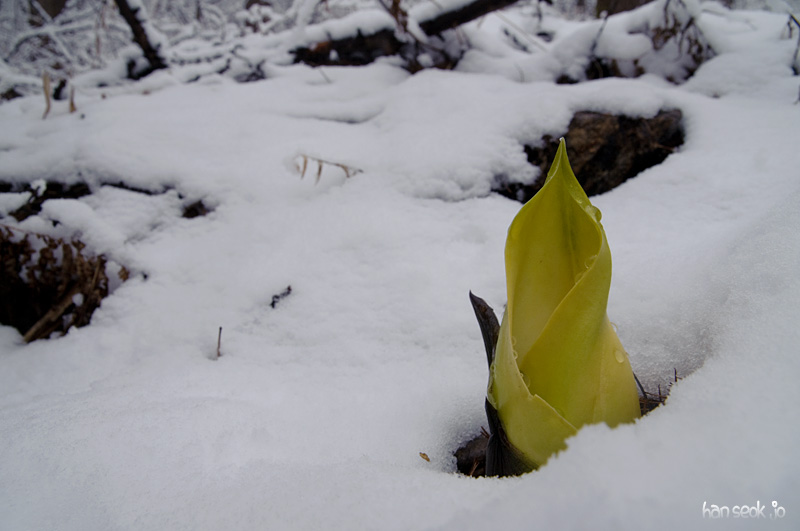 DSC_0014.jpg