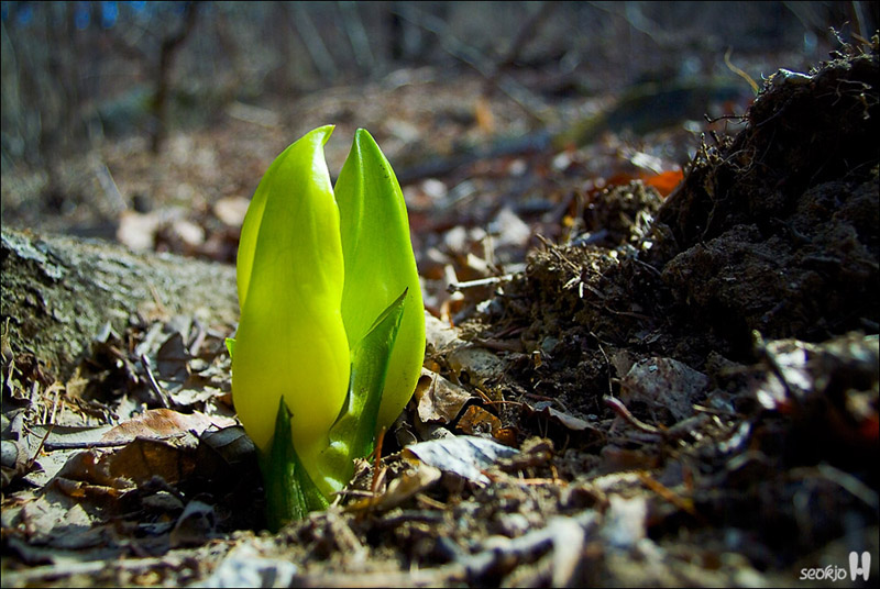DSCF6304.jpg