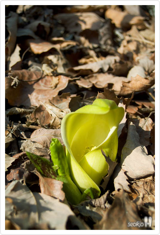 DSCF6459.jpg