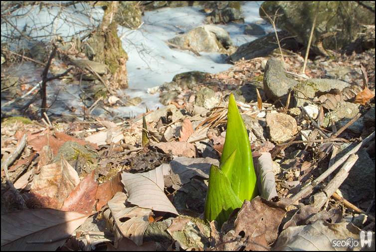 DSCF1838.jpg