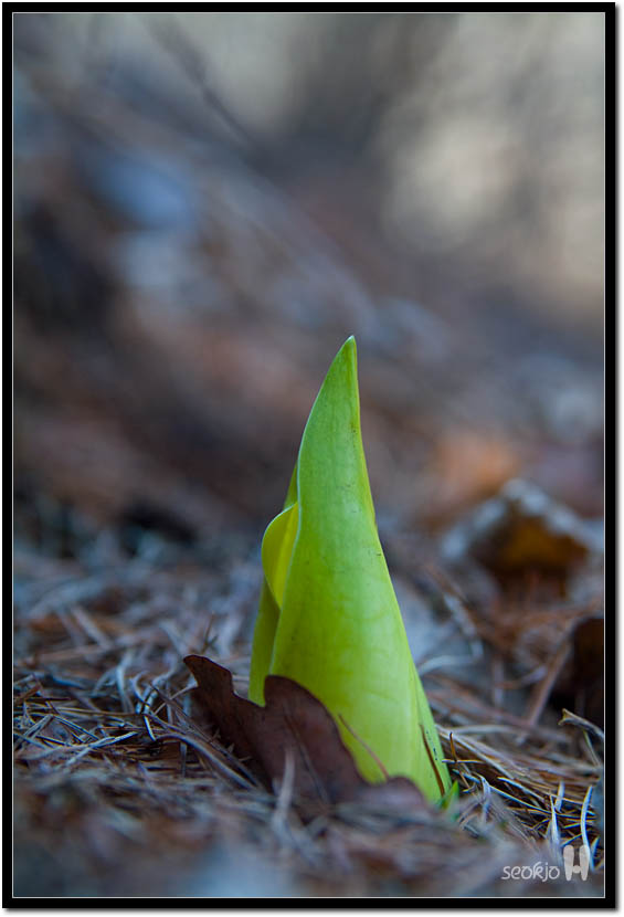 DSCF2231.jpg