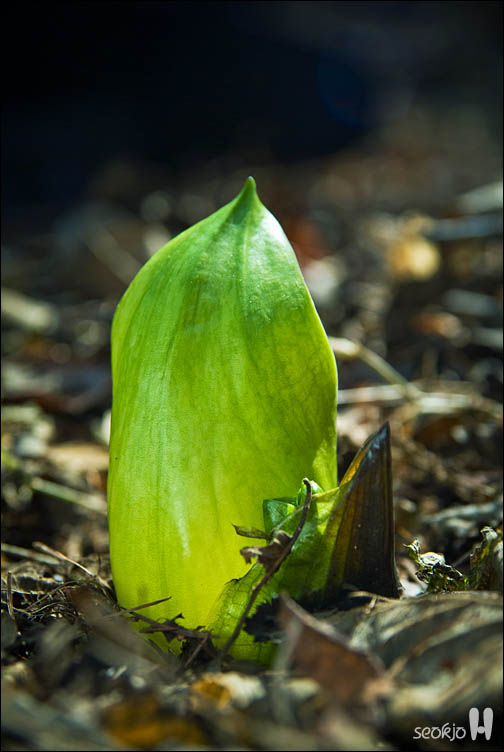 DSCF7129.jpg