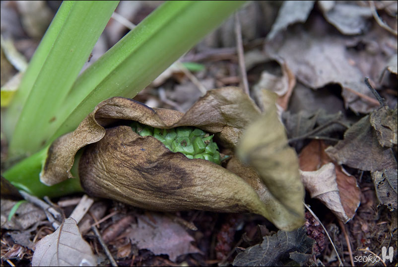 DSCF8326.jpg
