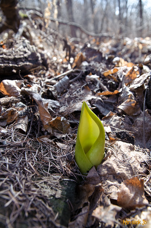 DSC_0130.jpg