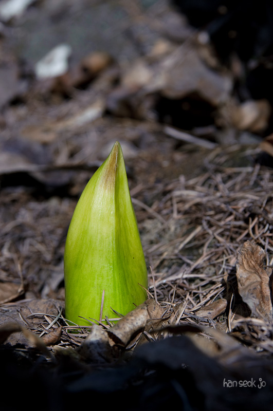 DSC_0139.jpg