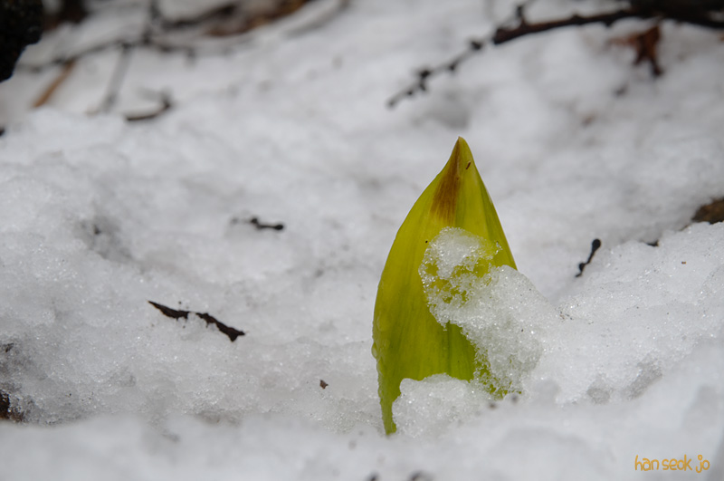 DSC_0159.jpg