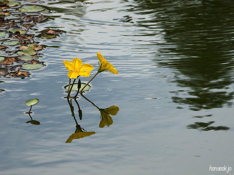 DSCN1243.jpg