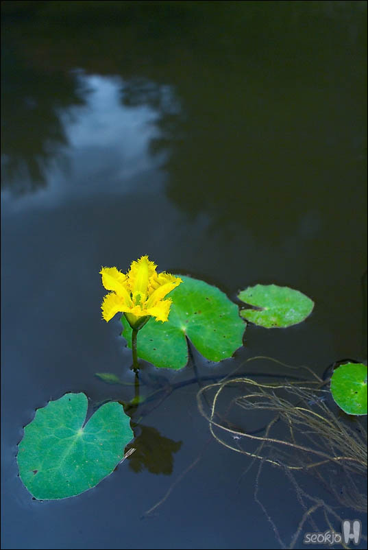 DSCF5308.jpg