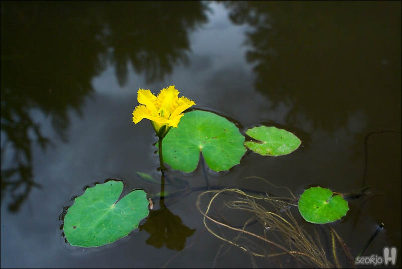 DSCF5310.jpg