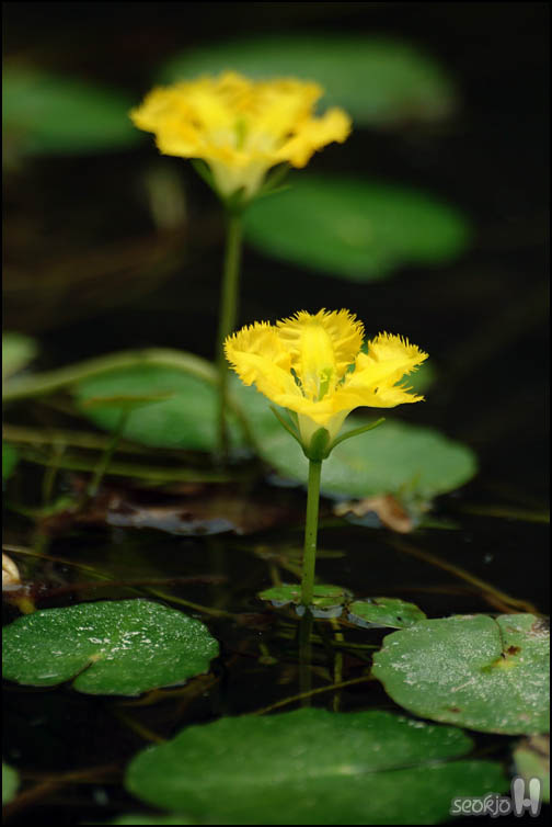 DSCF7131.jpg