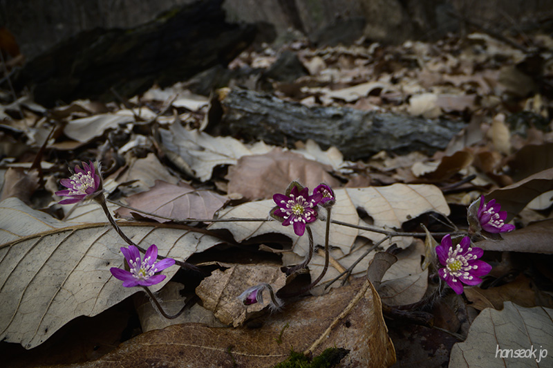 DSC_1609.jpg
