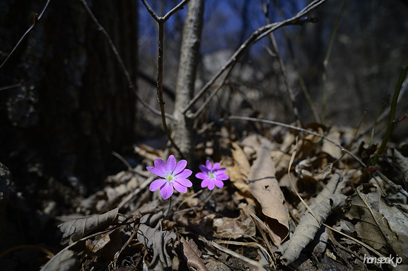 DSC_1632.jpg