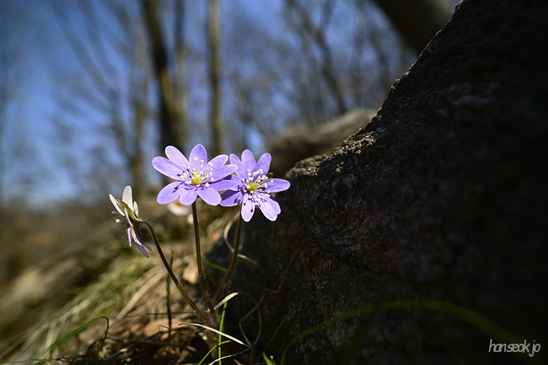 DSC_1792.jpg