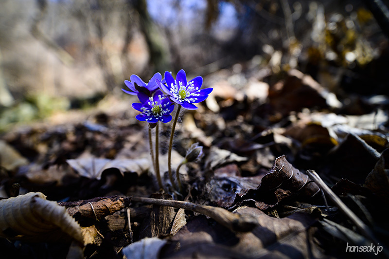 DSC_1812.jpg