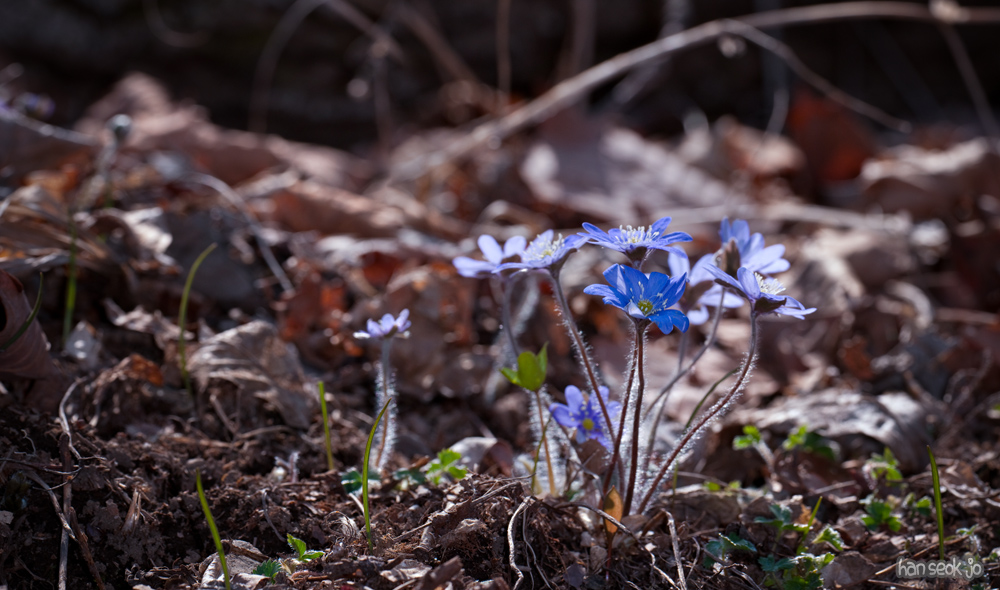 090409_1.jpg