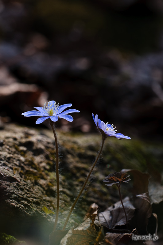 DSC_0856.jpg