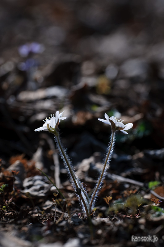DSC_0863.jpg