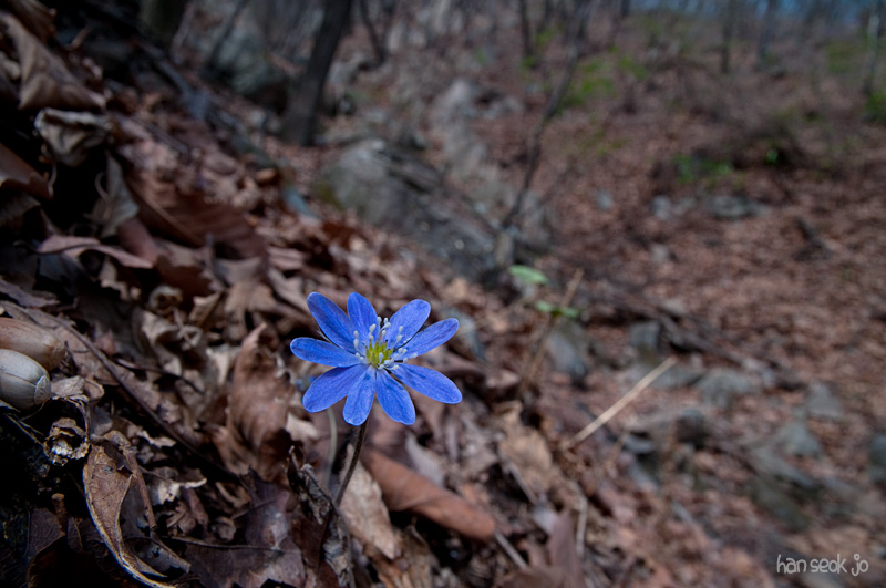 DSC_0955.jpg