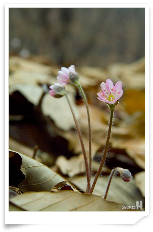 DSCF2318.jpg