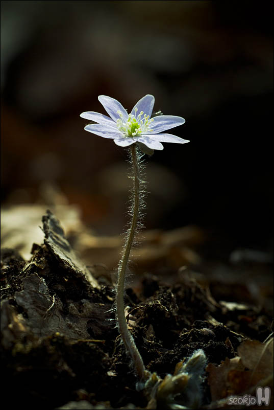 DSCF3073.jpg