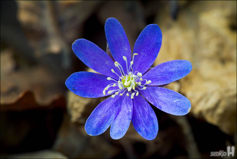 DSCF3083.jpg